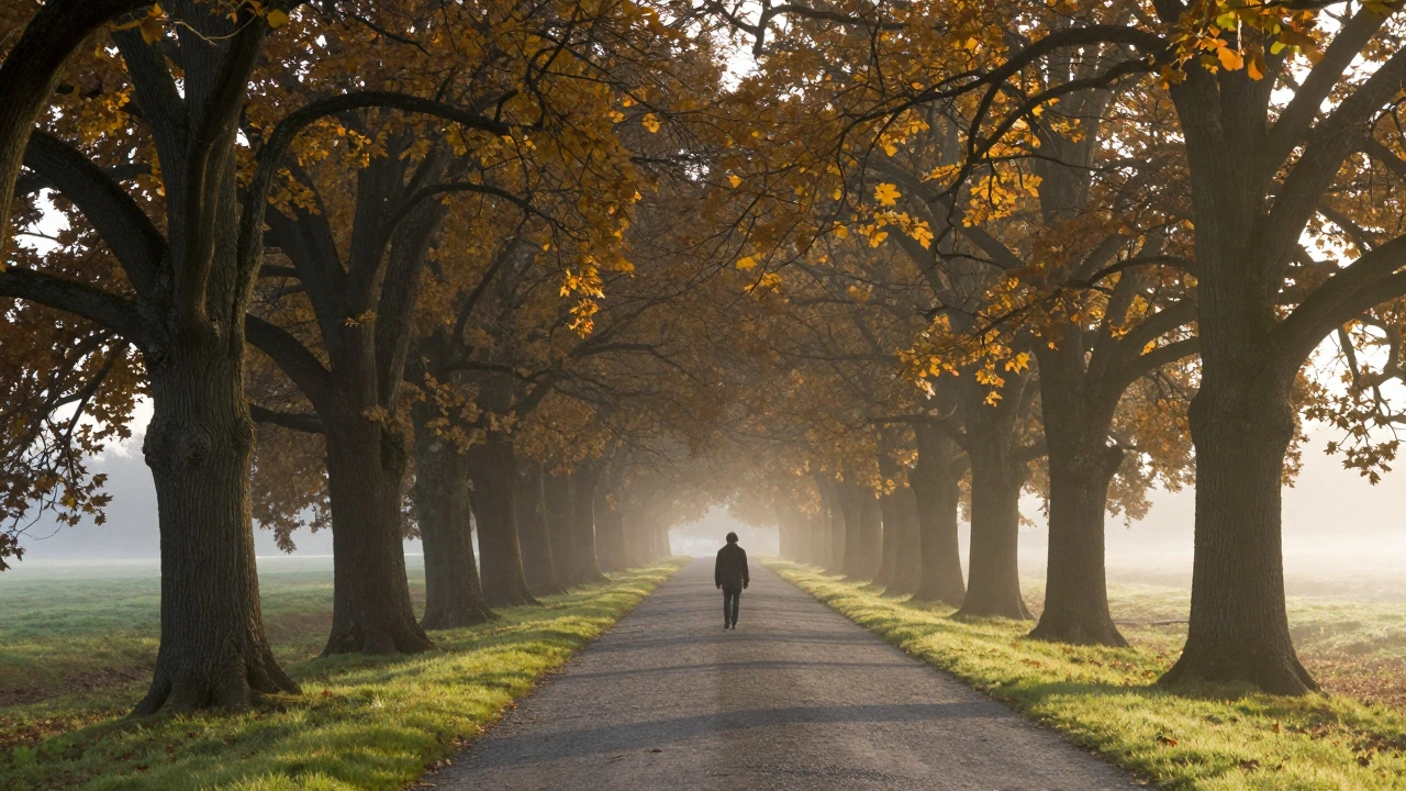 Solitary walker on the West Carriage Drive at dawn, golden oak trees lining the path.